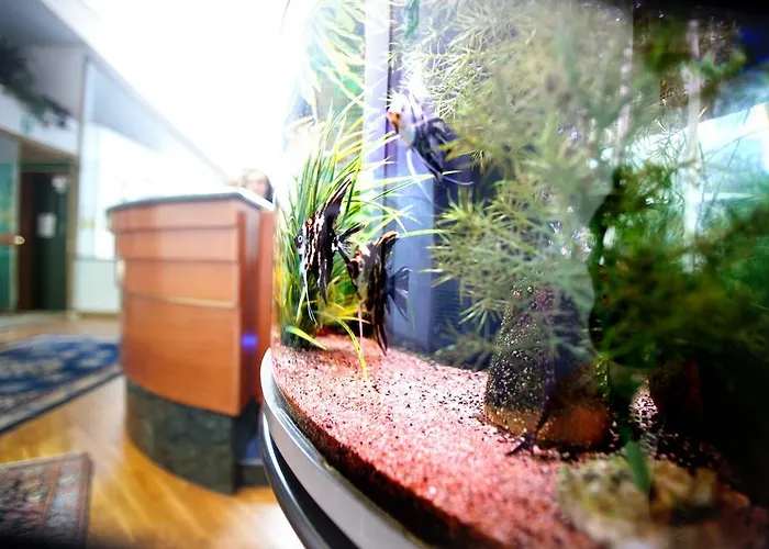 Leonardo 3* Bréscia